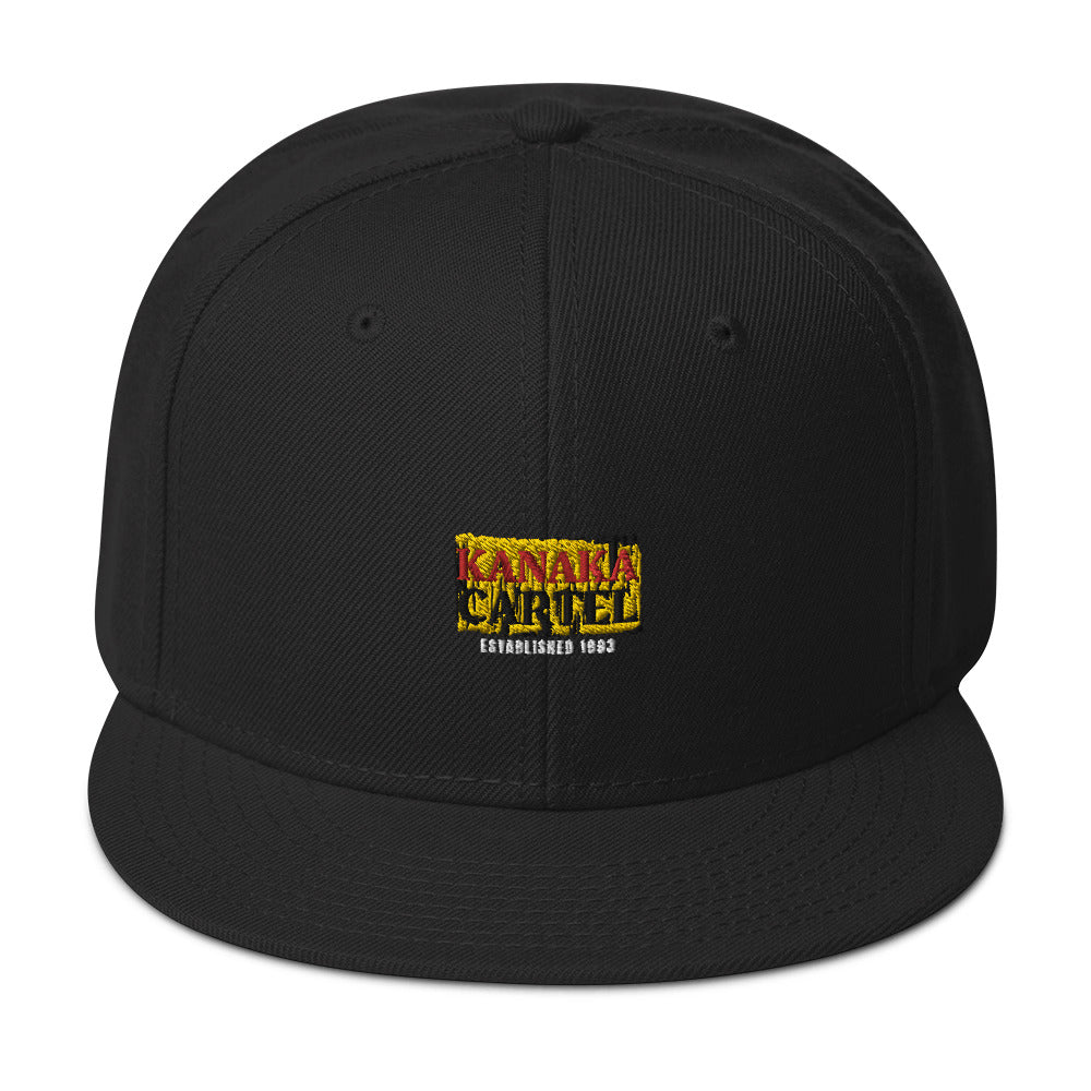 Logo (Alternate) Snapback Hat